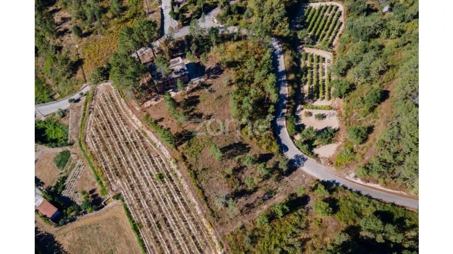 Terreno para Venda em Amarante (São Gonçalo), Madalena, Cepelos e Gatão Foto 14