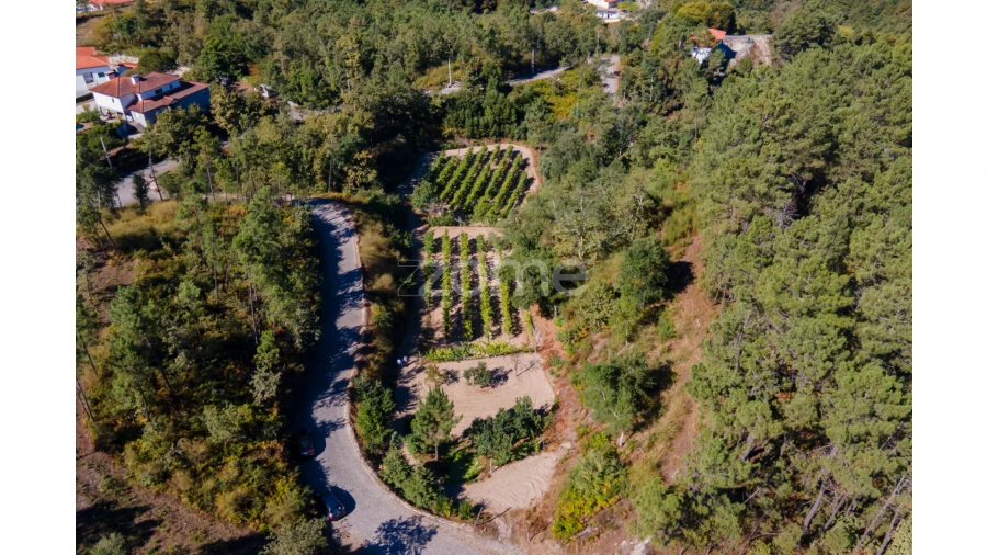 Terreno para Venda em Amarante (São Gonçalo), Madalena, Cepelos e Gatão Foto 15