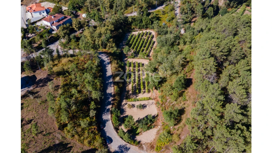 Terreno para Venda em Amarante (São Gonçalo), Madalena, Cepelos e Gatão Foto 17