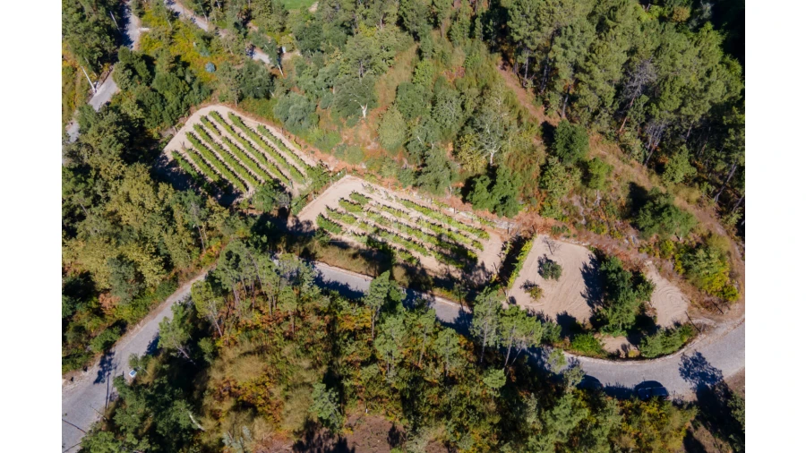 Terreno para Venda em Amarante (São Gonçalo), Madalena, Cepelos e Gatão Foto 20