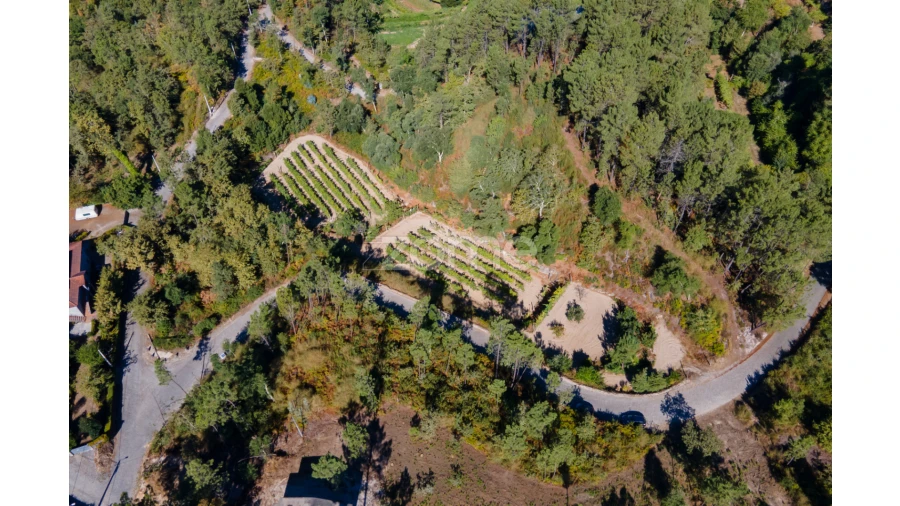 Terreno para Venda em Amarante (São Gonçalo), Madalena, Cepelos e Gatão Foto 21