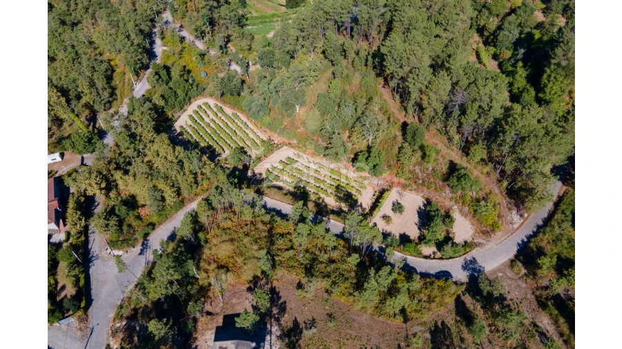 Terreno para Venda em Amarante (São Gonçalo), Madalena, Cepelos e Gatão Foto 26