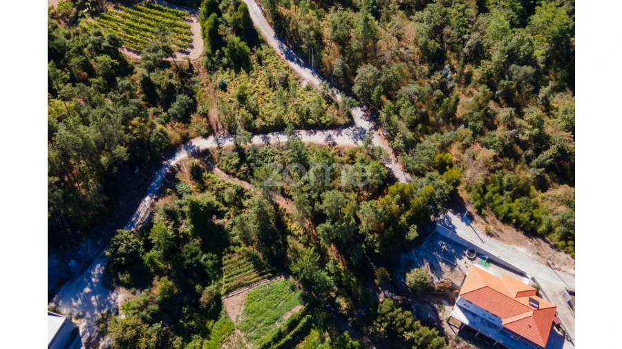 Terreno para Venda em Amarante (São Gonçalo), Madalena, Cepelos e Gatão Foto 49