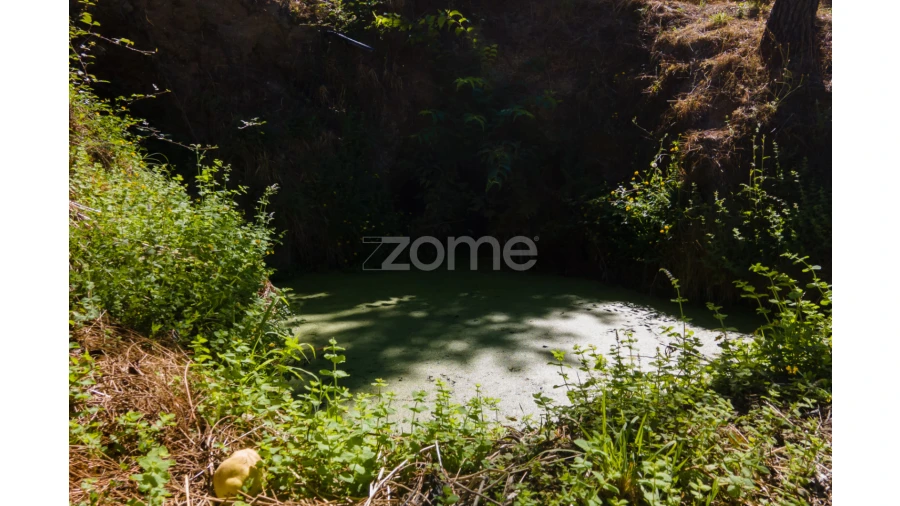 Terreno para Venda em Amarante (São Gonçalo), Madalena, Cepelos e Gatão Foto 32