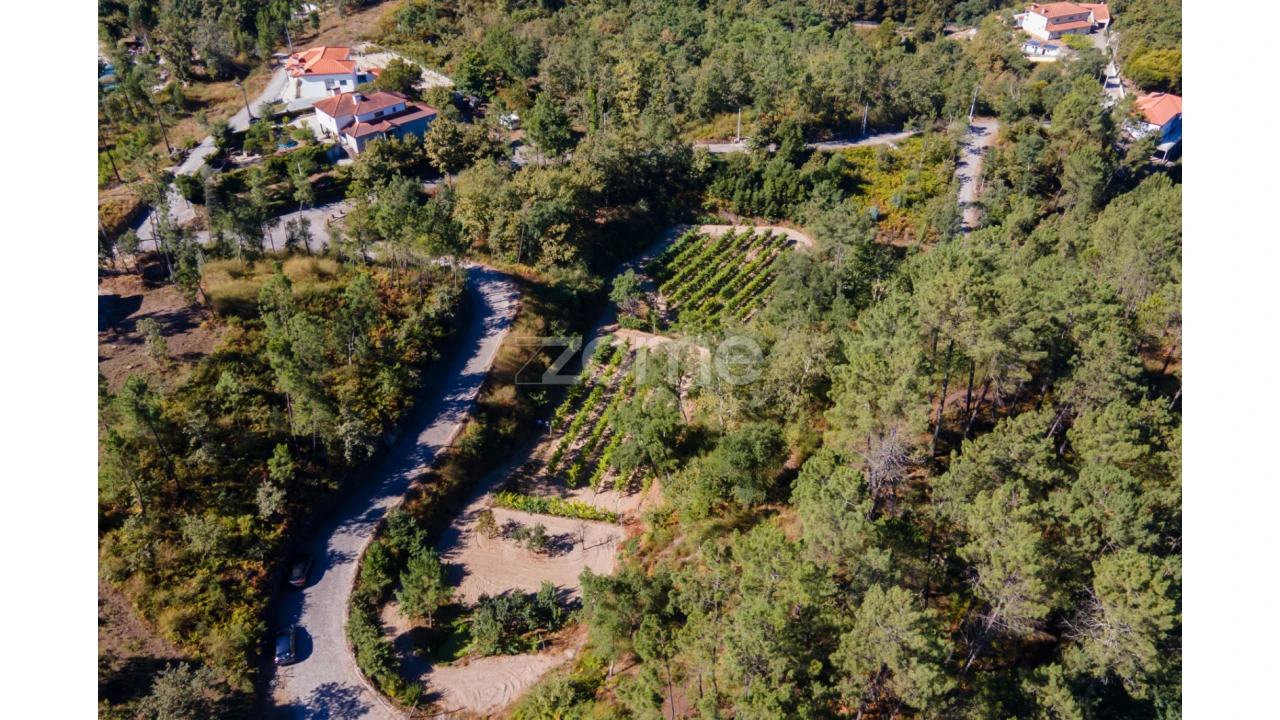 Terreno para Venda em Amarante (São Gonçalo), Madalena, Cepelos e Gatão Foto 16