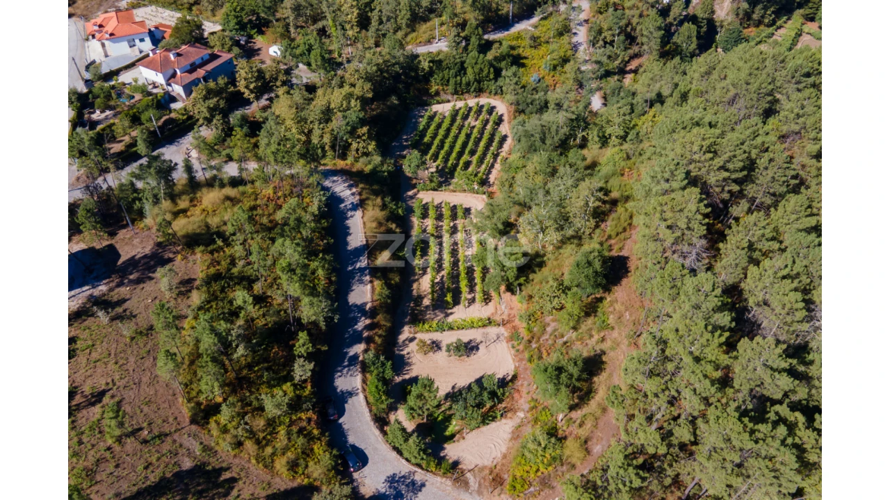 Terreno para Venda em Amarante (São Gonçalo), Madalena, Cepelos e Gatão Foto 17