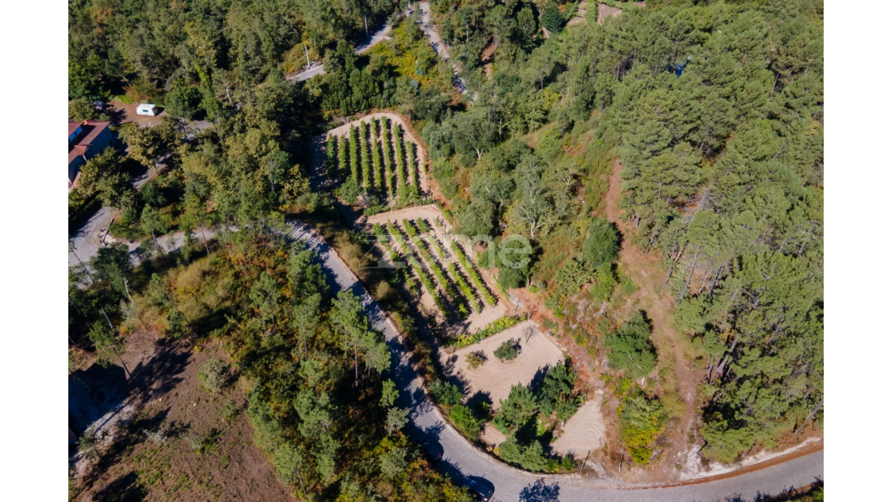 Terreno para Venda em Amarante (São Gonçalo), Madalena, Cepelos e Gatão Foto 18