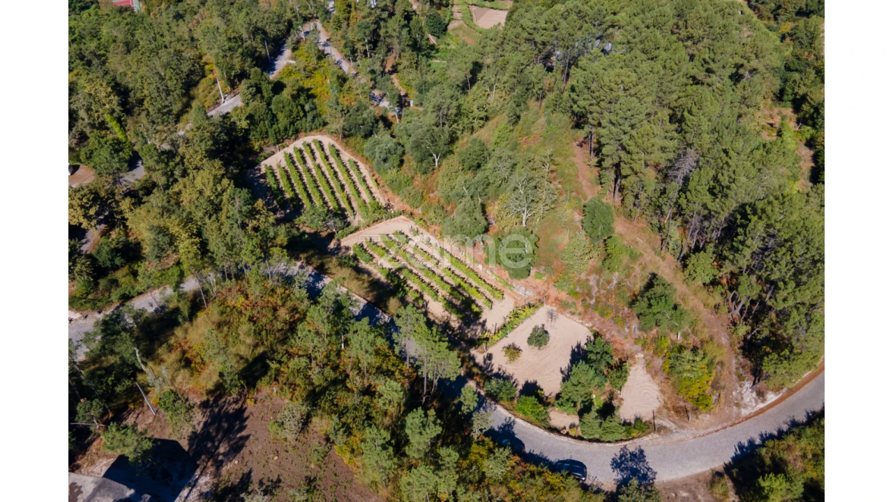 Terreno para Venda em Amarante (São Gonçalo), Madalena, Cepelos e Gatão Foto 19