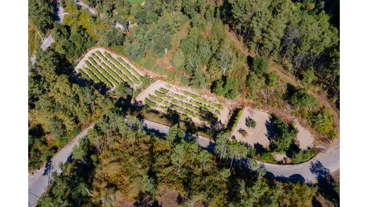 Terreno para Venda em Amarante (São Gonçalo), Madalena, Cepelos e Gatão Foto 20