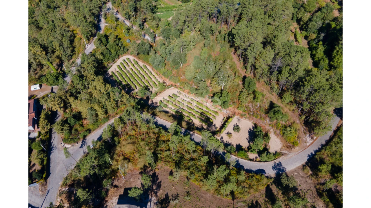 Terreno para Venda em Amarante (São Gonçalo), Madalena, Cepelos e Gatão Foto 21