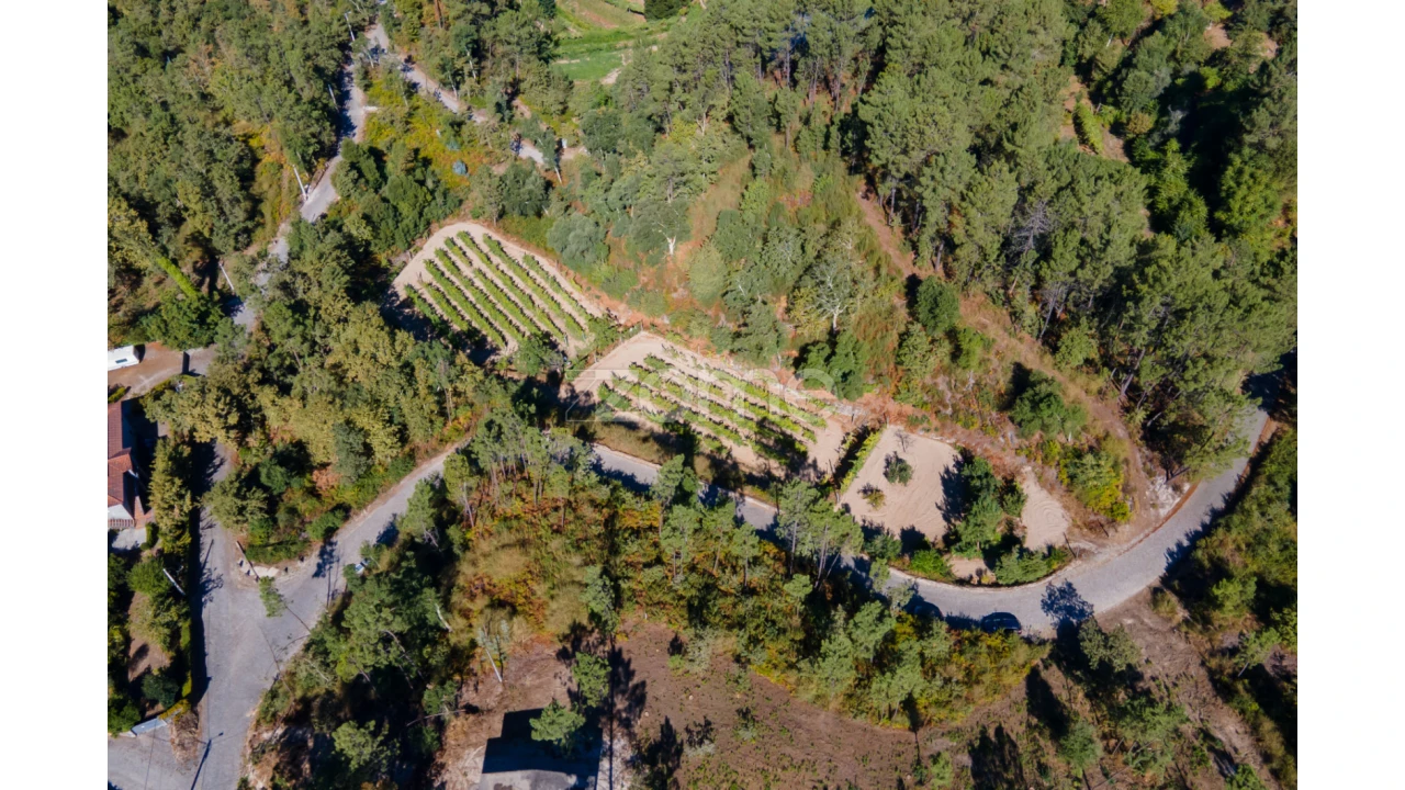 Terreno para Venda em Amarante (São Gonçalo), Madalena, Cepelos e Gatão Foto 26