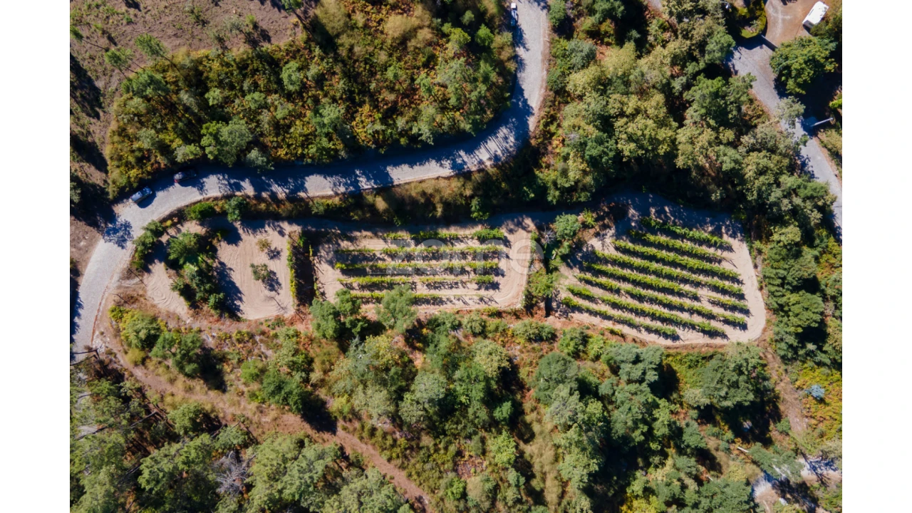 Terreno para Venda em Amarante (São Gonçalo), Madalena, Cepelos e Gatão Foto 28