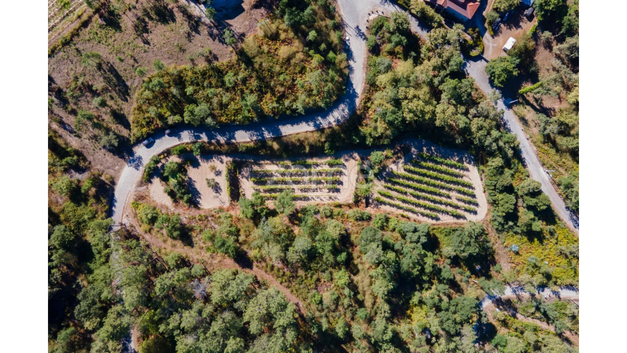 Terreno para Venda em Amarante (São Gonçalo), Madalena, Cepelos e Gatão Foto 29