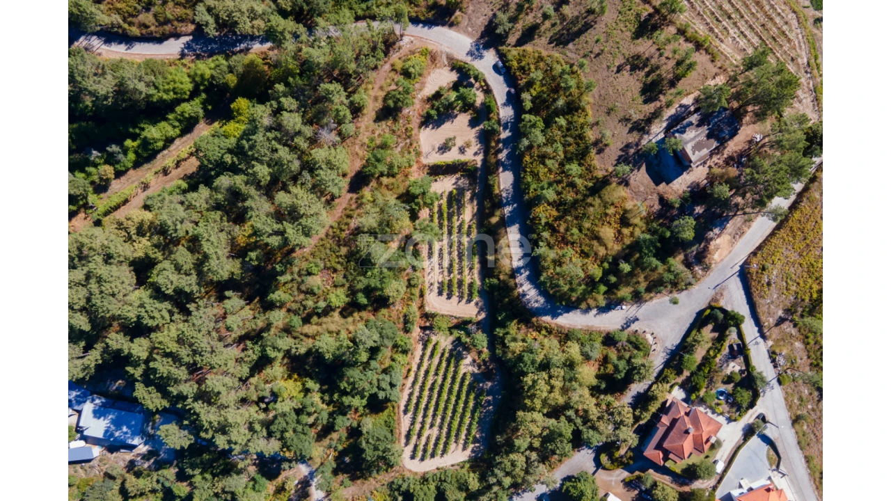 Terreno para Venda em Amarante (São Gonçalo), Madalena, Cepelos e Gatão Foto 30
