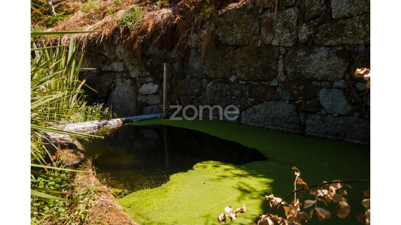 Terreno para Venda em Amarante (São Gonçalo), Madalena, Cepelos e Gatão Foto 1