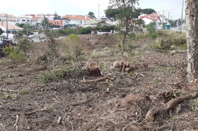Terreno para Venda em Charneca de Caparica e Sobreda