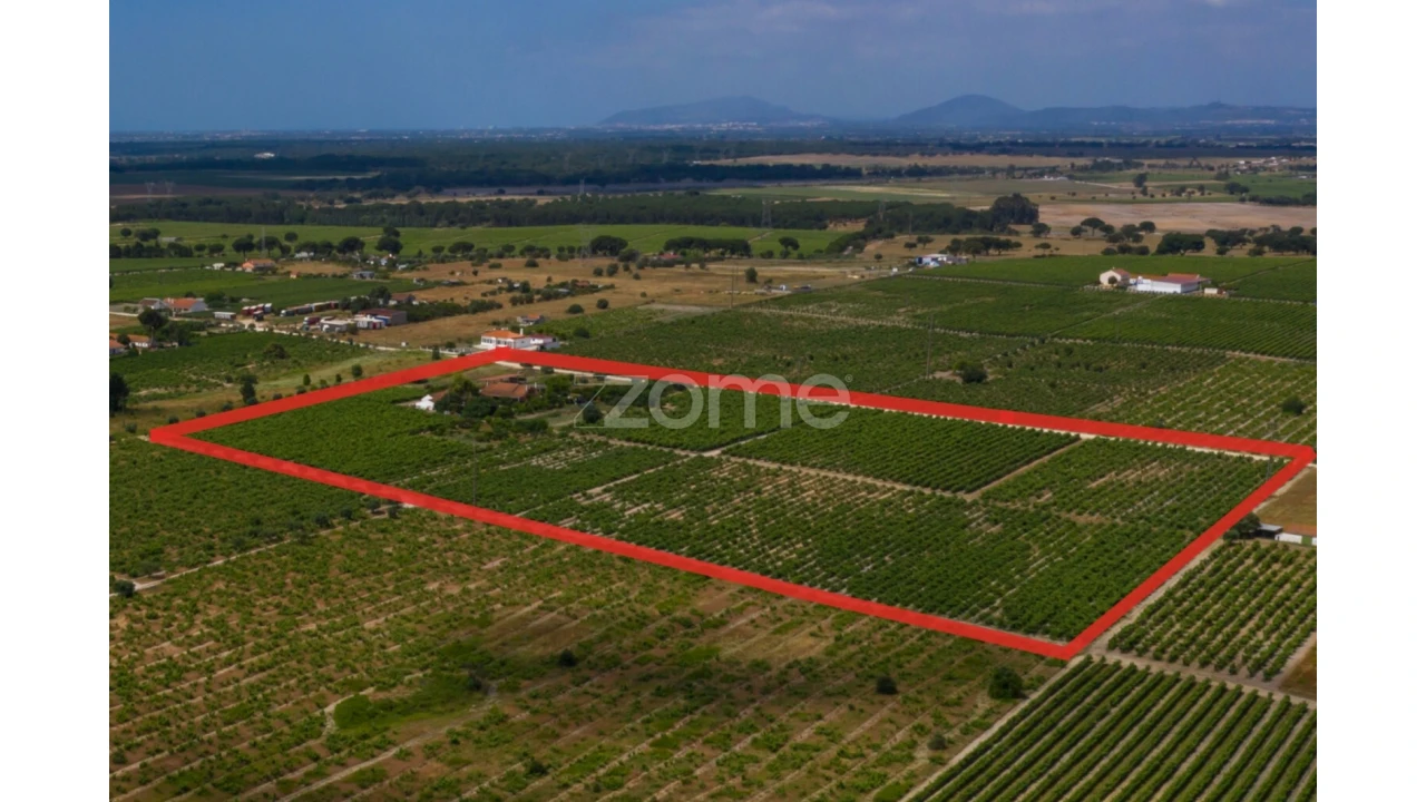 Quinta T3 para Venda em Poceirão e Marateca Foto 9