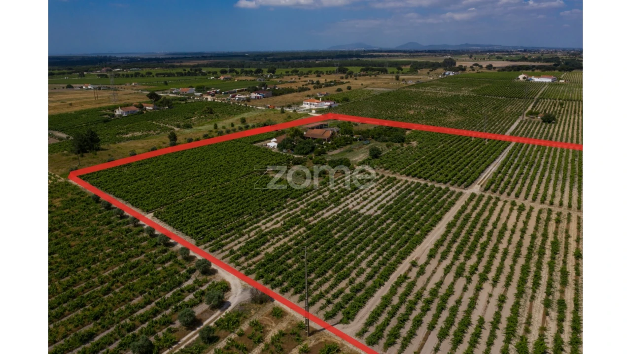 Quinta T3 para Venda em Poceirão e Marateca Foto 11