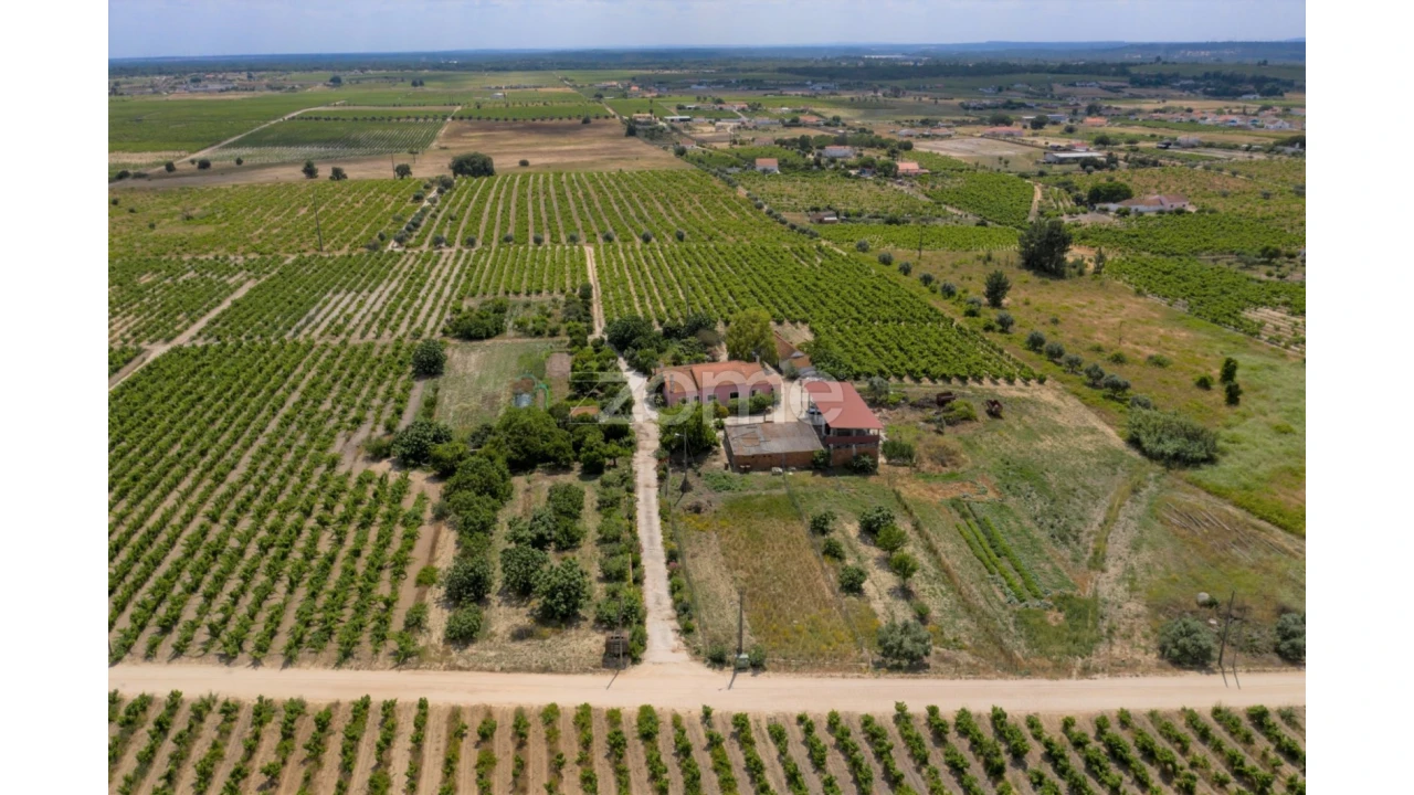 Quinta T3 para Venda em Poceirão e Marateca Foto 6