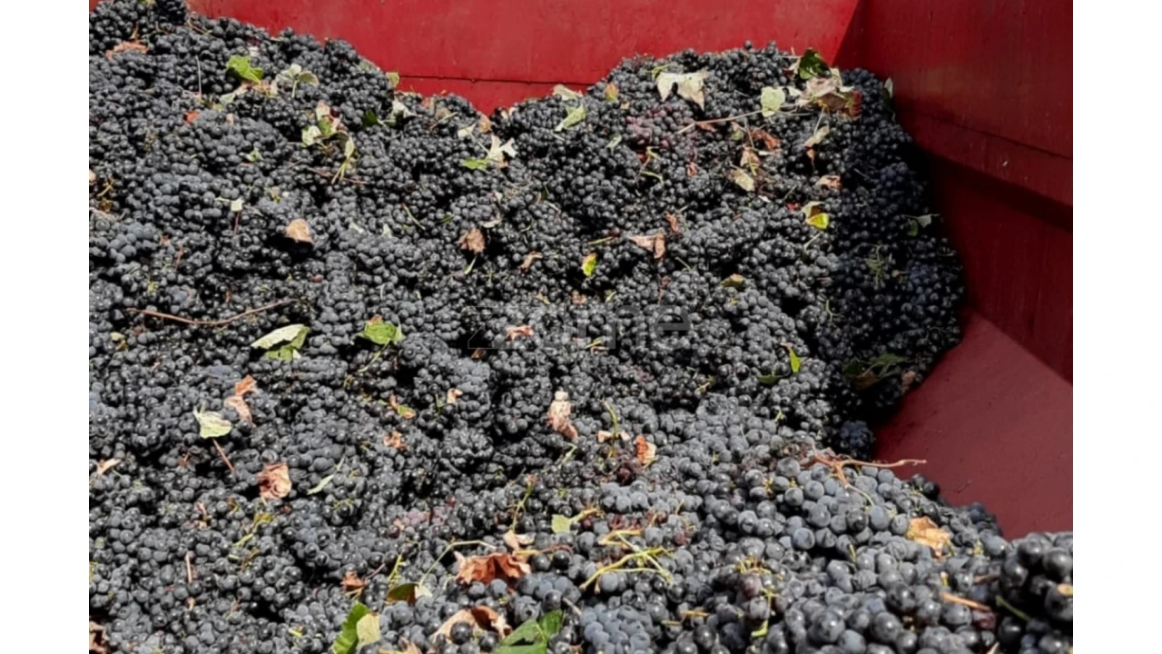 Quinta T3 para Venda em Poceirão e Marateca Foto 15