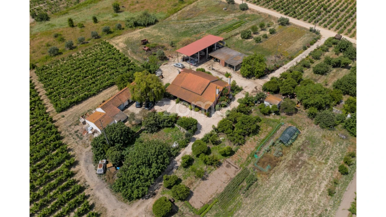 Quinta T3 para Venda em Poceirão e Marateca Foto 4