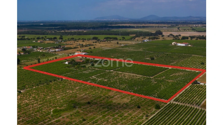 Quinta T3 para Venda em Poceirão e Marateca Foto 9