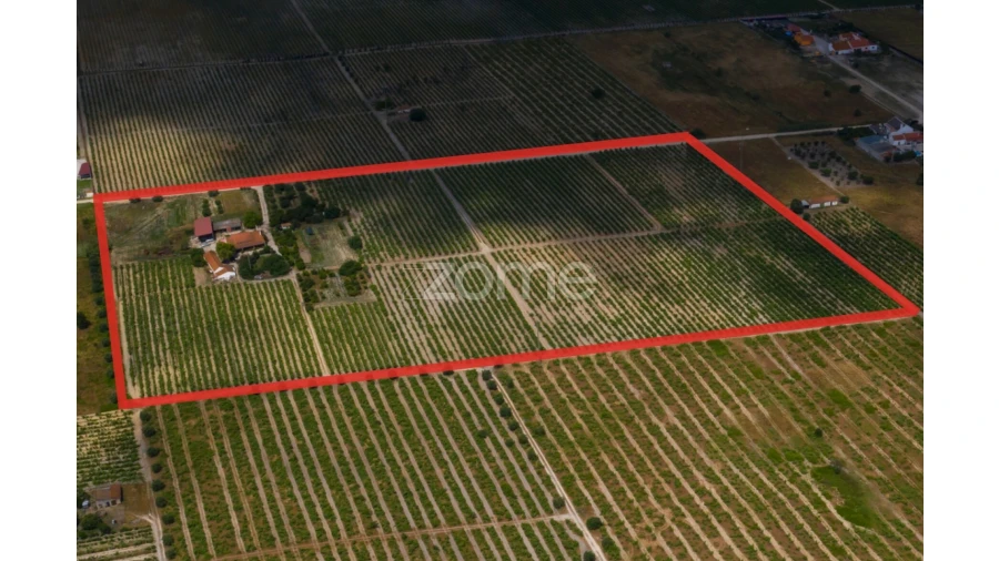 Quinta T3 para Venda em Poceirão e Marateca Foto 8