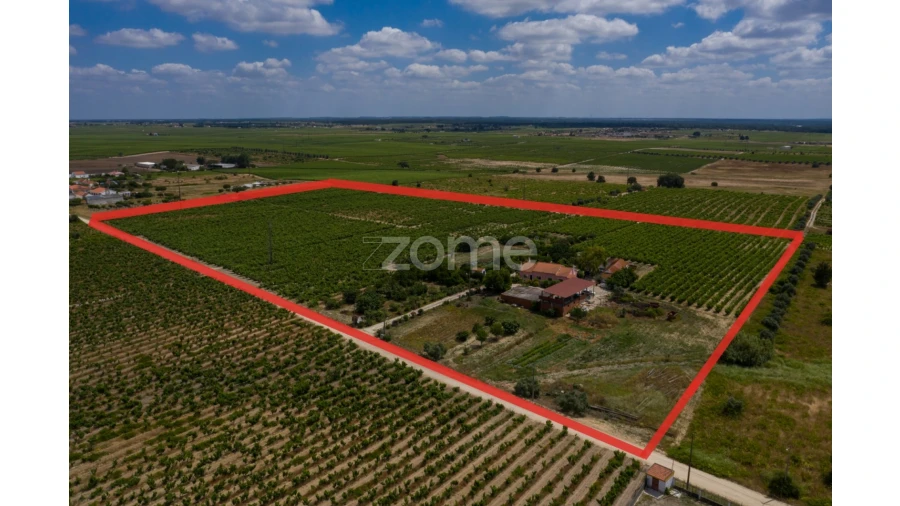 Quinta T3 para Venda em Poceirão e Marateca Foto 10