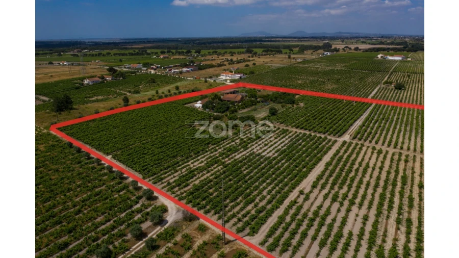 Quinta T3 para Venda em Poceirão e Marateca Foto 11