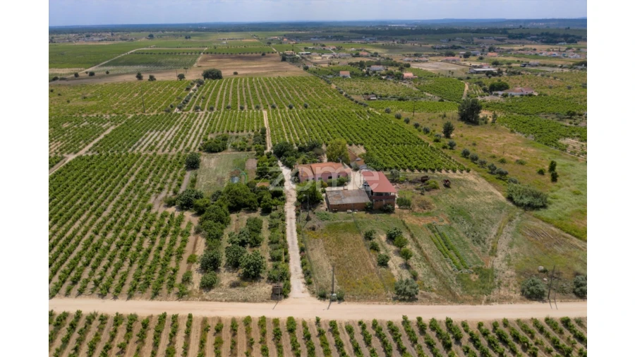 Quinta T3 para Venda em Poceirão e Marateca Foto 6