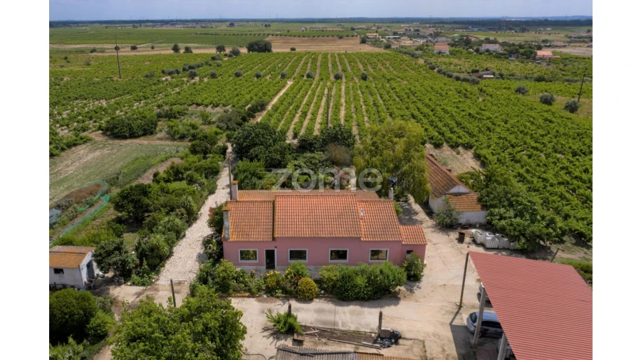 Quinta T3 para Venda em Poceirão e Marateca Foto 5