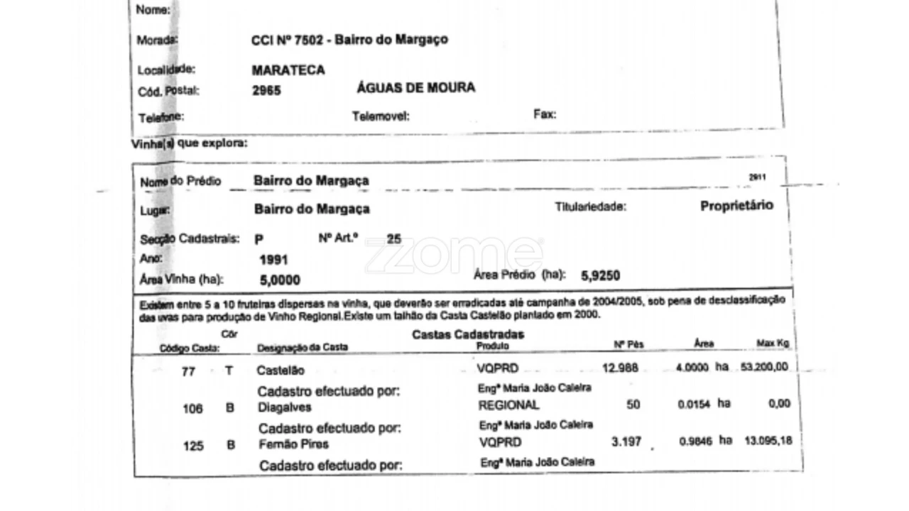 Quinta T3 para Venda em Poceirão e Marateca Foto 22