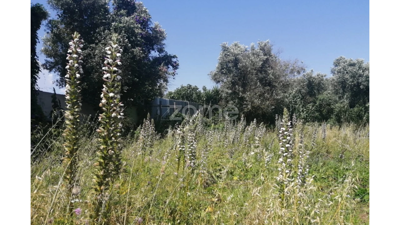 Terreno para Venda em Pontinha e Famões Foto 7
