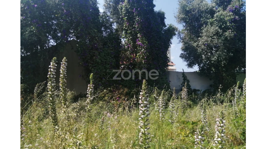 Terreno para Venda em Pontinha e Famões Foto 4