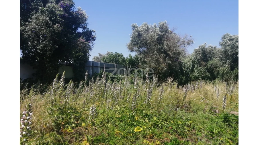 Terreno para Venda em Pontinha e Famões Foto 6