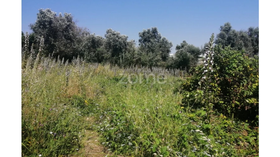Terreno para Venda em Pontinha e Famões Foto 8