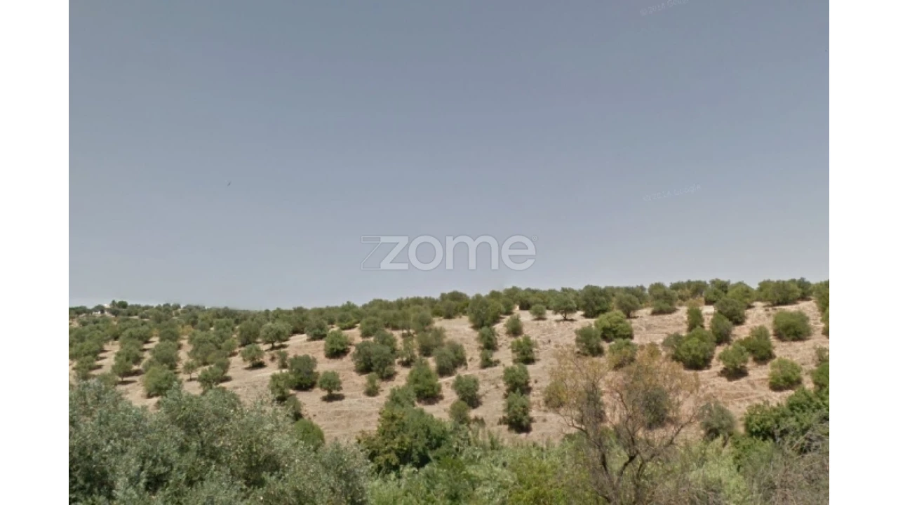 Terreno para Venda em Santo Agostinho e São João Baptista e Santo Amador Foto 4
