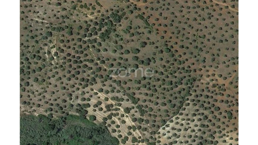 Terreno para Venda em Santo Agostinho e São João Baptista e Santo Amador Foto 3