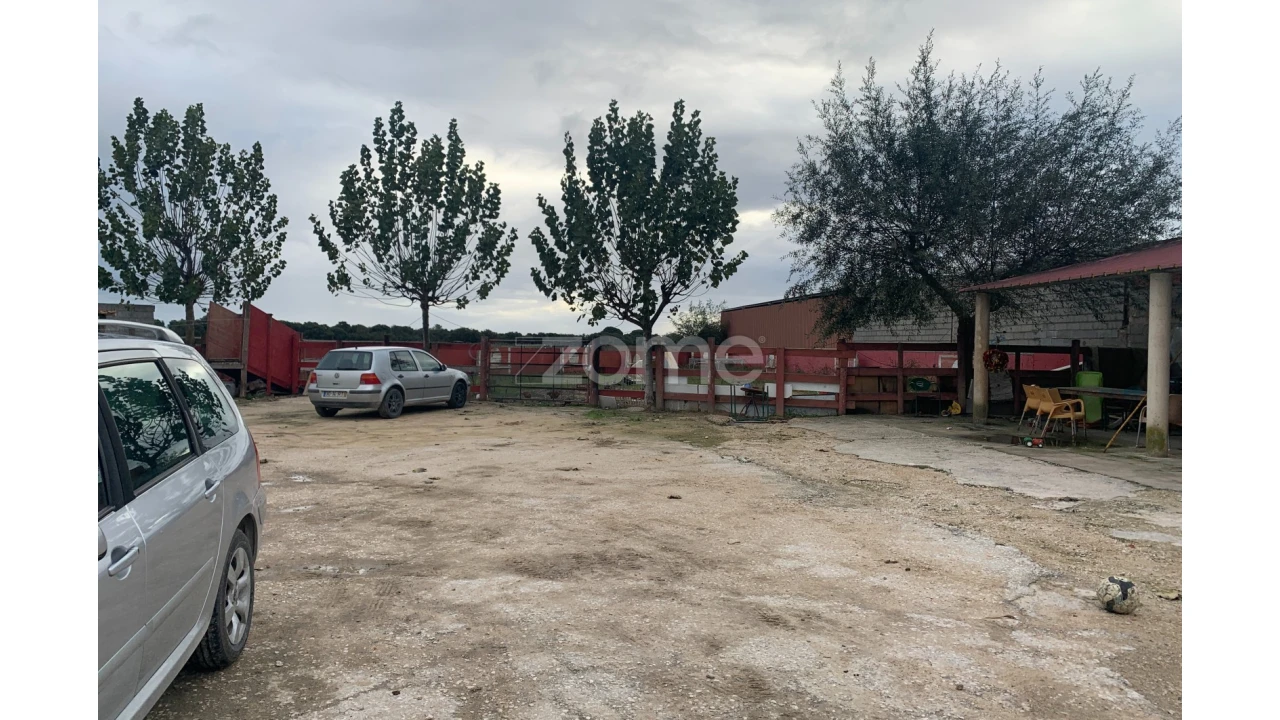 Negócio para Venda em Salvaterra de Magos e Foros de Salvaterra Foto 1