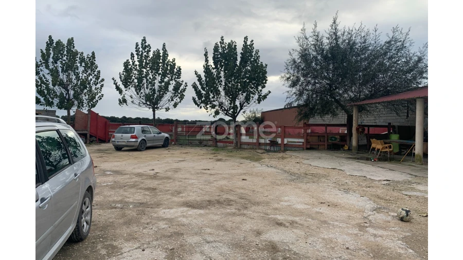 Negócio para Venda em Salvaterra de Magos e Foros de Salvaterra Foto 15