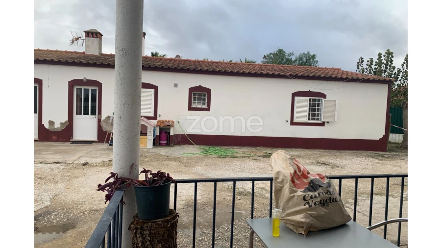 Negócio para Venda em Salvaterra de Magos e Foros de Salvaterra Foto 10