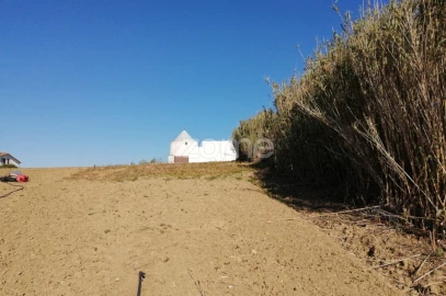 Terreno para Venda em Arruda dos Vinhos