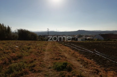 Terreno para Venda em Arruda dos Vinhos