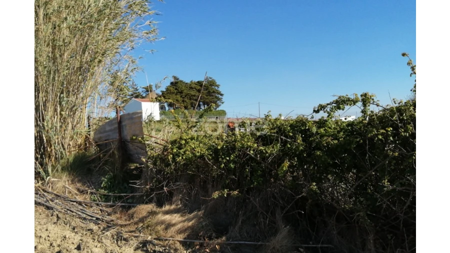 Terreno para Venda em Arruda dos Vinhos Foto 14