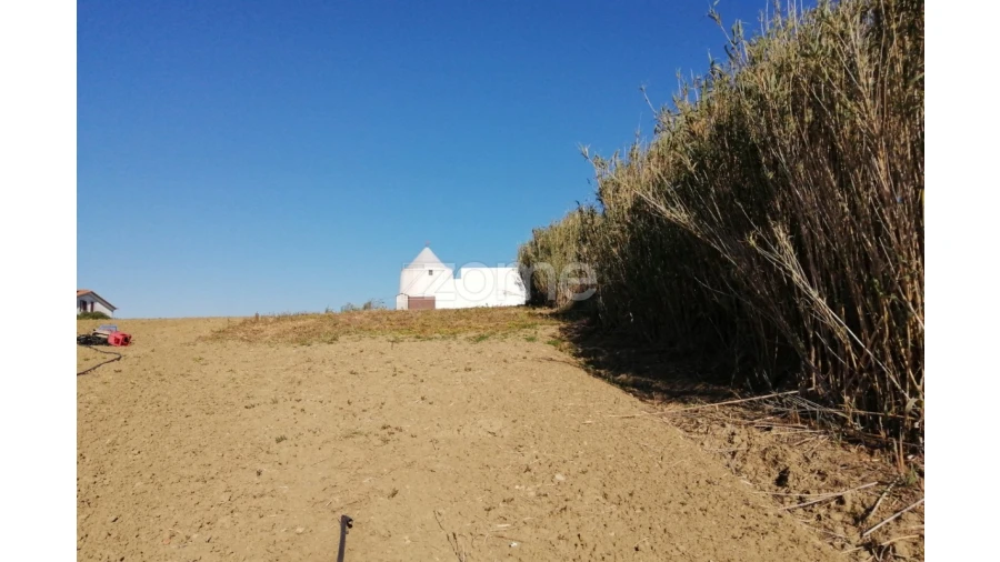 Terreno para Venda em Arruda dos Vinhos Foto 7