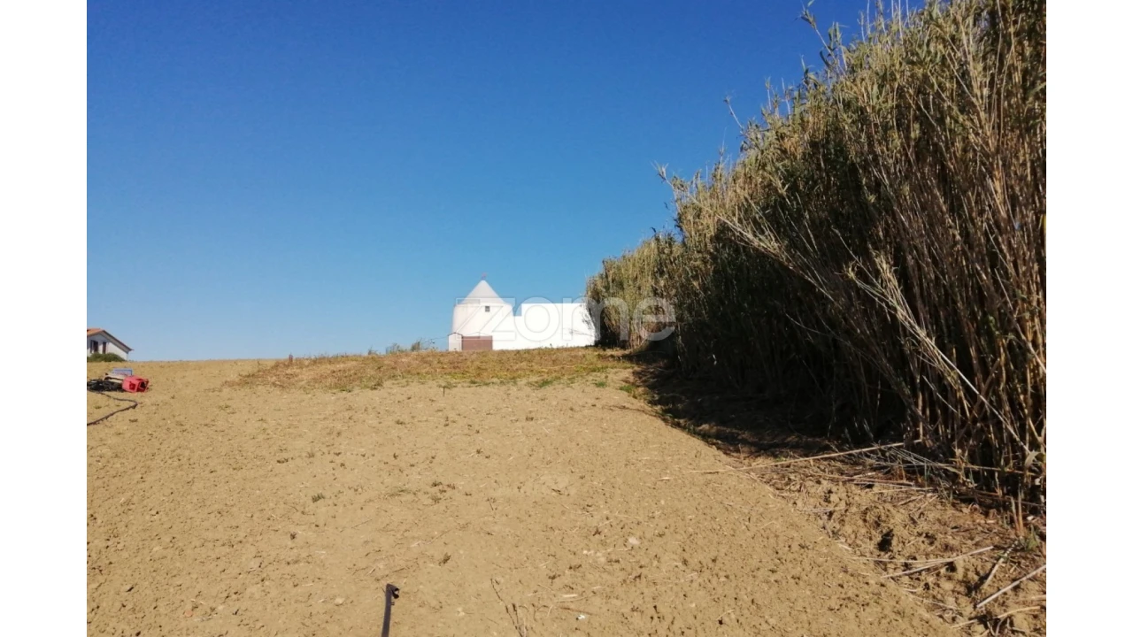 Terreno para Venda em Arruda dos Vinhos Foto 7