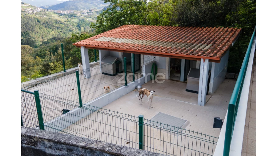 Quinta T4 para Venda em Marco Foto 73