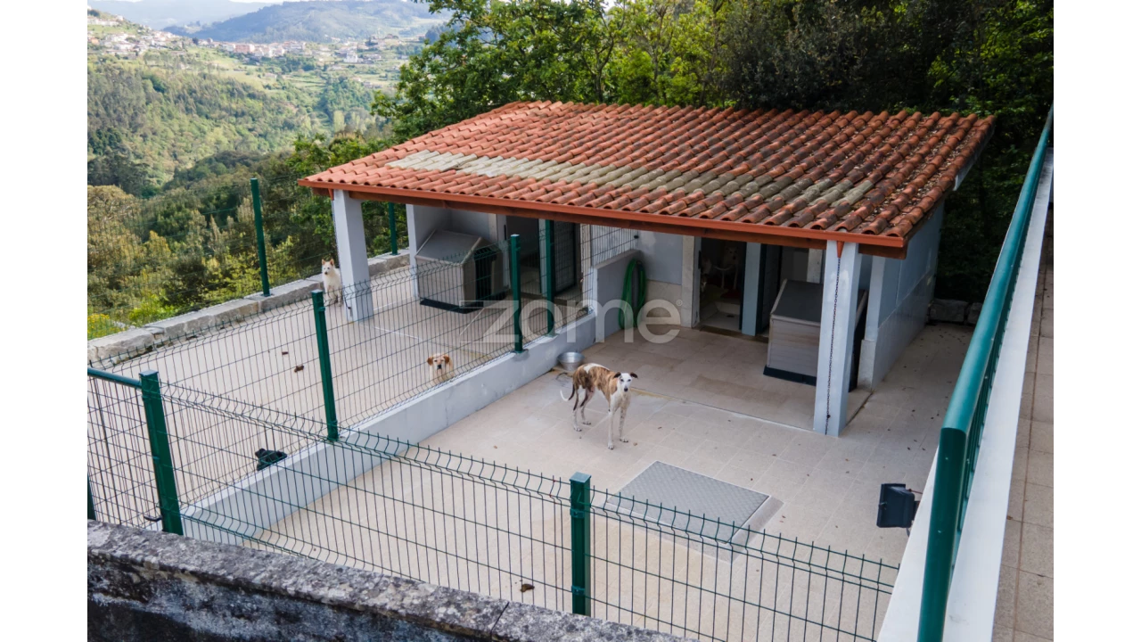 Quinta T4 para Venda em Marco Foto 73