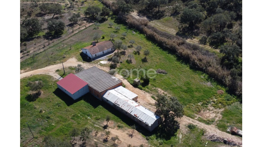 Quinta T5 para Venda em Abela Foto 10