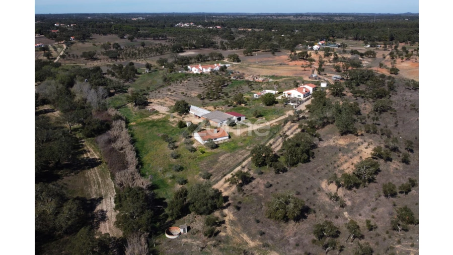 Quinta T5 para Venda em Abela Foto 11